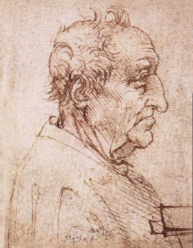 Profile of an old man, LEONARDO da Vinci